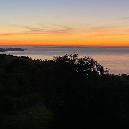 Cliff Lodge Torquay Zewnętrze zdjęcie